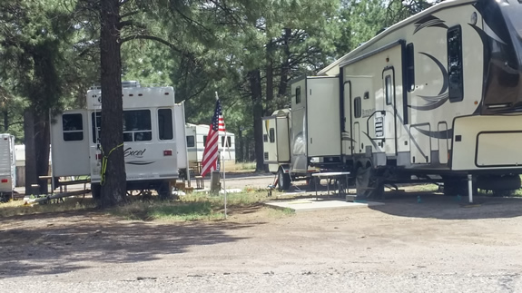 RVs under the trees